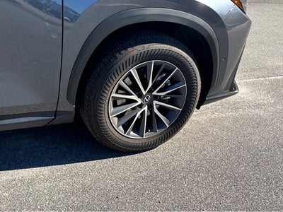 2025 Lexus NX NX 350h Luxury