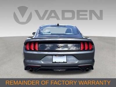 2022 Ford Mustang EcoBoost